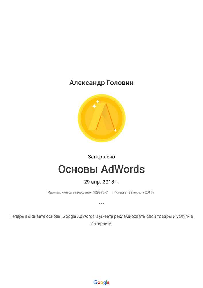 Golovin Academy for Ads Osnovy AdWords